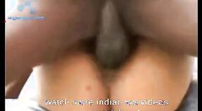 Desi摩洛伊斯兰解放阵线与怪物公鸡在业余色情视频中 1 敏 40 sec
