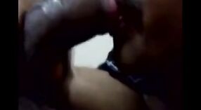 Amateur Indian gay boys give naughty blowjobs 3 min 50 sec