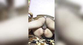 homemade Big aas bhabhi fucking hard 3 videos leaked 2 min 40 sec