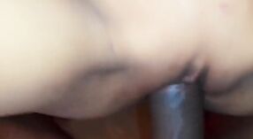 অপেশাদার শ্যামাঙ্গিনী ভাবি তার আঁটসাঁট গর্ত প্রসারিত করে 0 মিন 50 সেকেন্ড