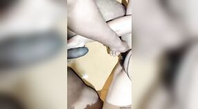 Jari Suami Telanjang vagina Bhabi di Video Liar 1 min 10 sec
