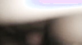 பெரிய கழுதை பாபி கிராமத்தில் துடித்த நாய் பாணியைப் பெறுகிறார் 0 நிமிடம் 40 நொடி