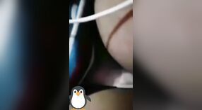 Video Solo Gadis Desi: Saksikan Dia Memamerkan Payudara dan Vaginanya di Vc Bagian 3 2 min 10 sec