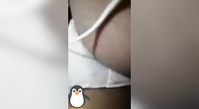 Video Solo Gadis Desi: Saksikan Dia Memamerkan Payudara dan Vaginanya di Vc Bagian 3 2 min 20 sec
