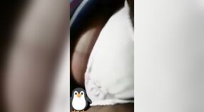 Desi Girl's Solo Video: Watch Her Show Off Her Boobs and Pussy on Vc Part 3 2 min 40 sec