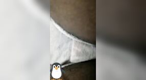 देसी लड़की के एकल वीडियो: उसे दिखाने के बंद उसके स्तन और बिल्ली पर कुलपति भाग 3 2 मिन 50 एसईसी