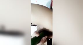 Волосатая Дези девушка мастурбирует на камеру игрушками 4 минута 20 сек