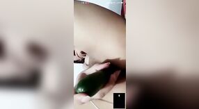 Hairy Desi Girl Masturbates on Camera with Toys 5 min 00 sec