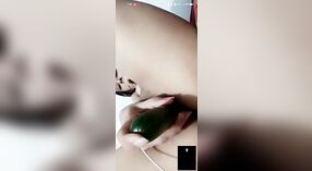 Hairy Desi Girl Masturbates on Camera with Toys 5 min 40 sec