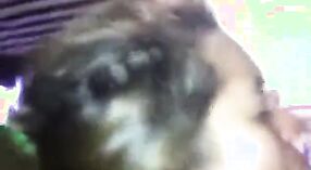 Desi baba montre sa chatte serrée sur webcam 2 minute 20 sec