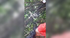 Sayang India menjadi nakal di hutan dengan ayam besar 0 min 0 sec