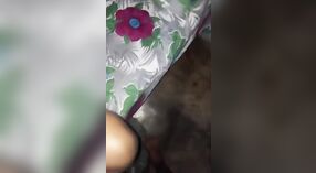 Video Gay Bibi Mallu Mengisap dan Bercinta 0 min 0 sec