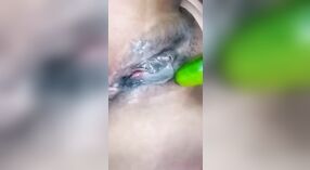 Indian woman with big breasts pleasures herself with cucumber 0 min 0 sec