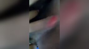 毛むくじゃらの猫の十代の少女は蒸し暑いソロビデオで自分自身を指で 3 分 30 秒