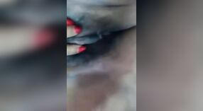 毛むくじゃらの猫の十代の少女は蒸し暑いソロビデオで自分自身を指で 0 分 0 秒