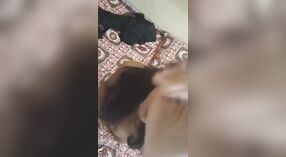 Real Indian sex video with pussy and cock sucking action 3 min 00 sec