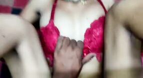 Bihari Bhabhi dengan bra merah dan celana dalam membuat vaginanya diregangkan oleh Devar 3 min 40 sec