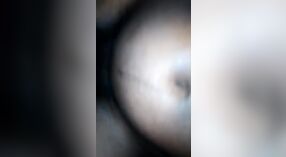 Video seks Desi yang menampilkan keterampilan berkuda liar Vali 0 min 0 sec