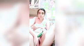 पाकिस्तानी मुलीला तिच्या केसाळ मांजरीला भाजीपाला आनंद घेताना काकडीने शिक्षा झाली 0 मिन 0 सेकंद
