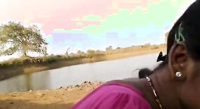 Đẹp tamil blowjob video với Pollachi Villake 1 tối thiểu 00 sn