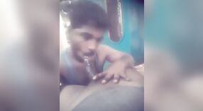 Das schwule indische Babe Madurai Gibt einen sinnlichen Blowjob und Schluckt Sperma 1 min 00 s