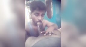 Gej Indian Babe Madurai daje zmysłowy sex Oralny i połyka spermę 1 / min 10 sec