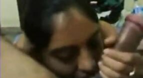 Tirupur maid gives a sensual blowjob and swallows cum in this dirty video 0 min 0 sec