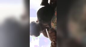 Zdradza swoją siostrę: gorące wideo z dziewczyną Chennai 0 / min 0 sec