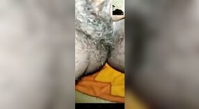 या वाफेच्या व्हिडिओमध्ये देहाती भाभाची केसाळ मांजर आणि स्तन पहा 2 मिन 10 सेकंद