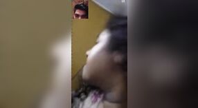 成熟的女人与毛茸茸的乡村猫在Vkontakte视频中戏弄她的爱人 0 敏 0 sec