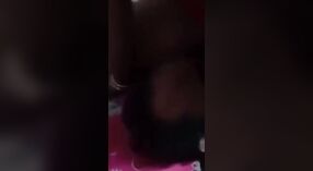 Desi village sex tape featuring a gorgeous bhabhi 3 min 40 sec