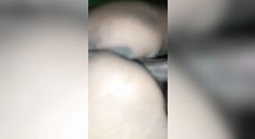 Ấn độ làng bhabhi đưa một thổi kèn và cỡi một thằng trong trần trụi video 3 tối thiểu 10 sn