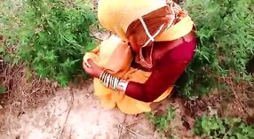 Desi village bhabhi gets down and dirty in the open air 0 min 0 sec