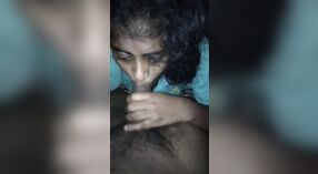 Tamil girl indulges in oral sex with her husband 0 min 0 sec