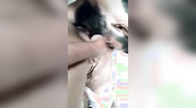 रेडनेक प्रेमी मांजरी चाटणे आणि बोटात गुंतते 1 मिन 40 सेकंद