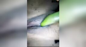 La vidéo érotique de Dehati Bhabhi présente des légumes et de la masturbation 2 minute 20 sec