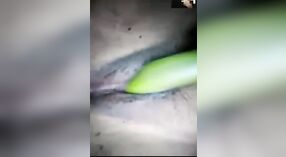 Dehati Bhabhi ' s erotische video bevat groenten en masturbatie 3 min 40 sec