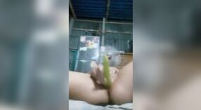 Desi village girl pleasures herself with a vegetable dildo and licks her pussy 5 min 20 sec