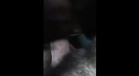 Indian teen with big boobs gives a satisfying blowjob to her partner 0 min 0 sec