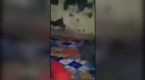 成熟的印度阿姨在乡村环境中搞砸了她的猫 2 敏 20 sec