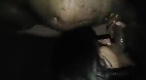 Desi wife gives her husband a messy blowjob during their honeymoon 3 min 50 sec