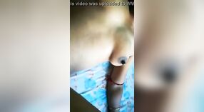 孟加拉宝贝得到她的猫在铁杆视频中撞了 1 敏 50 sec