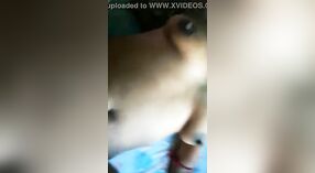 孟加拉宝贝得到她的猫在铁杆视频中撞了 2 敏 00 sec