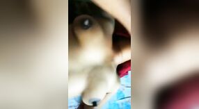 बंगाली बेब तिच्या मांजरीला हार्डकोर व्हिडिओमध्ये मारते 1 मिन 00 सेकंद