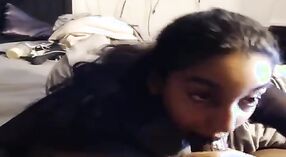 Indisches Sexvideo mit einem wunderschönen Jaipur babe, das einen Schwanz lutscht 4 min 00 s