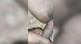 La belleza bengalí Randi bhabhi se pone traviesa con su novio desi 1 mín. 00 sec