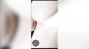 Procace Desi MILF con peloso micio prende cattivo su macchina fotografica con MMS perdita 2 min 00 sec