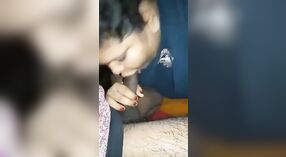 Bhabhi, a plump Indian woman, gives her lover a sensual blowjob in the night 0 min 0 sec