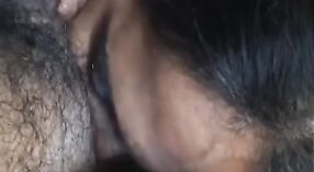 Sinnlicher blowjob von Bhabhi-Indianer im porno-video 8 min 20 s