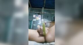 Bangla sesso video con una bella ragazza si masturba con verdure 5 min 20 sec